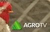 Agro TV
